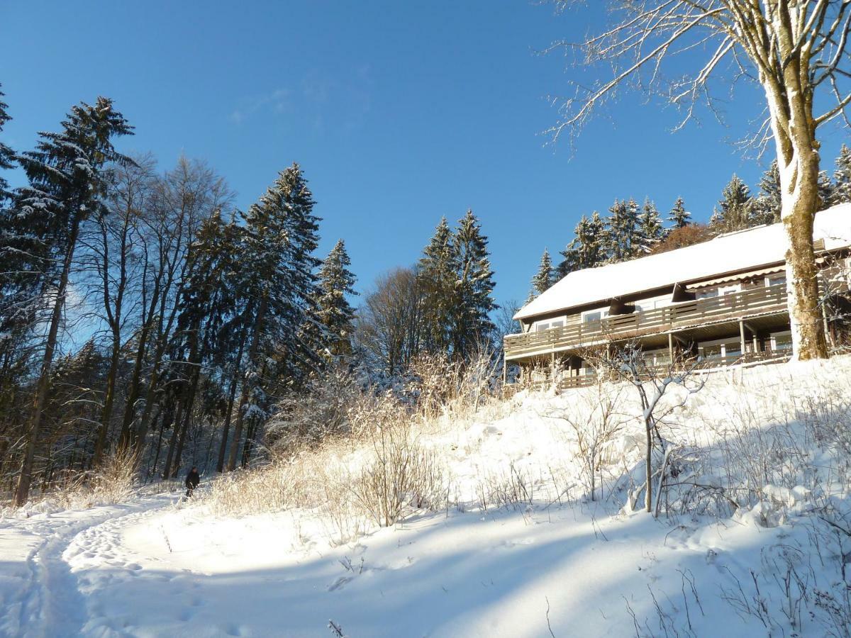 Fewo Waldblick Sankt Andreasberg Exterior photo
